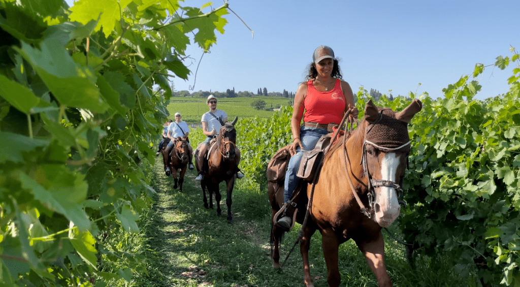 Monte del Frà Best of Wine Tourism 2023