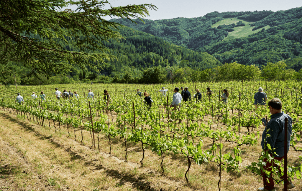 Consorzio Vini di Romagna
