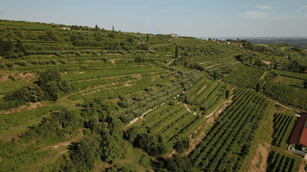 Brigaldara Valpolicella
