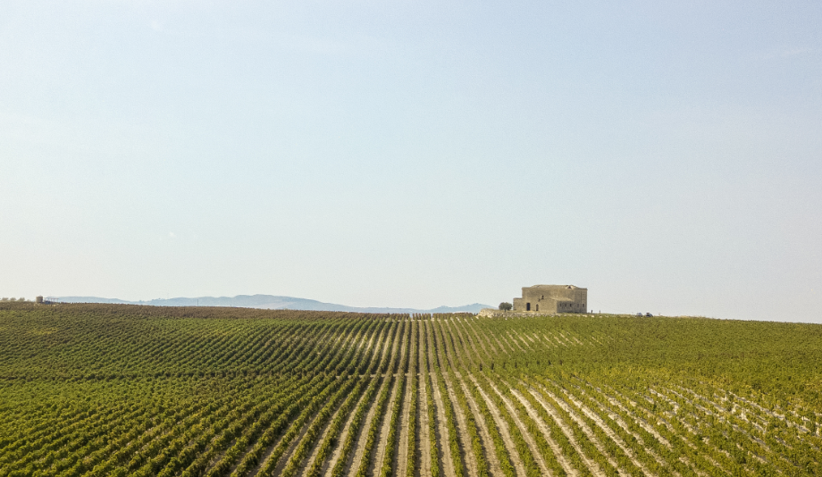 Tenuta Suor Marchesa
