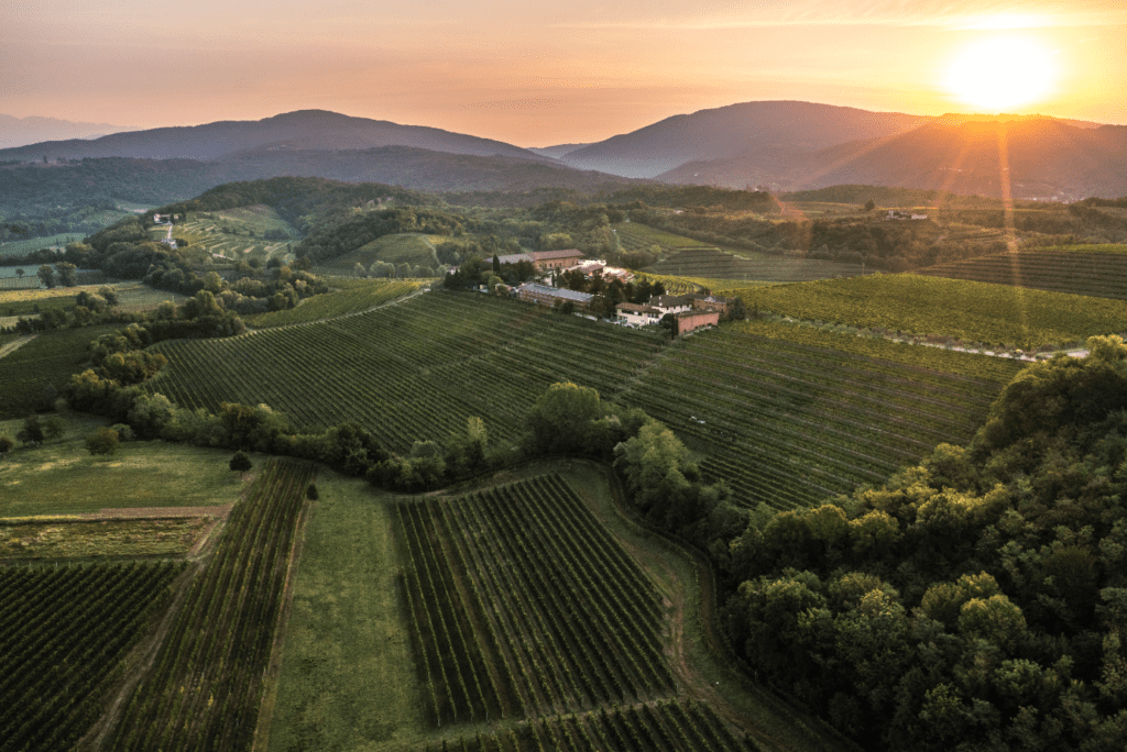 Zorzettig vigneti