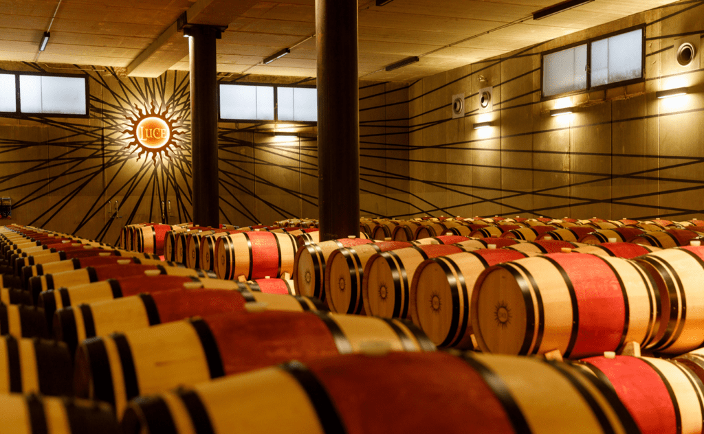 barricaia tenuta luce
