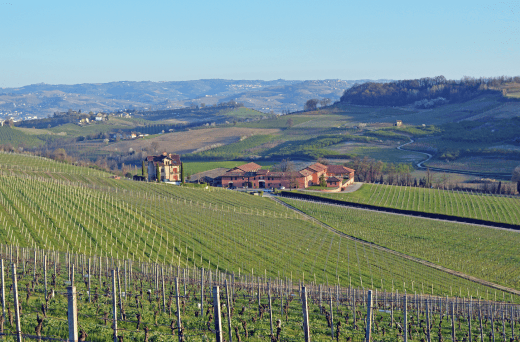 Tenuta carretta vigneti
