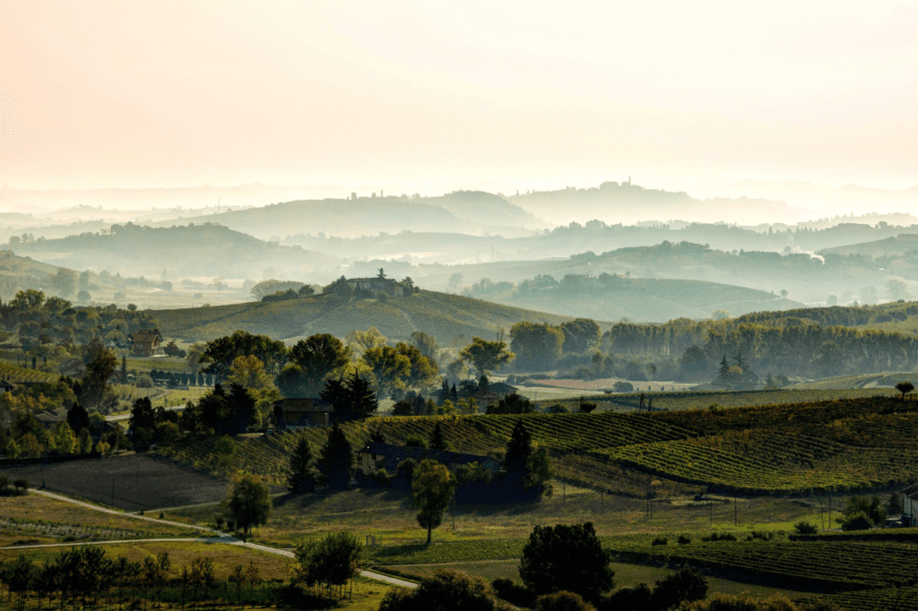 Monferrato Wine Festival 
