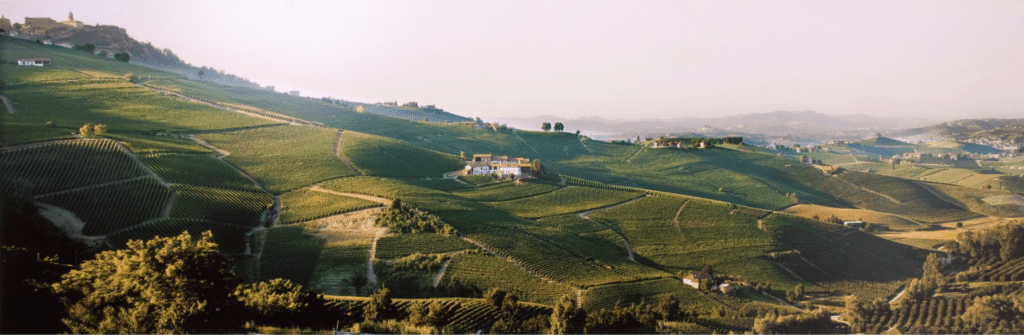 Michele Chiarlo Barolo Cerequio