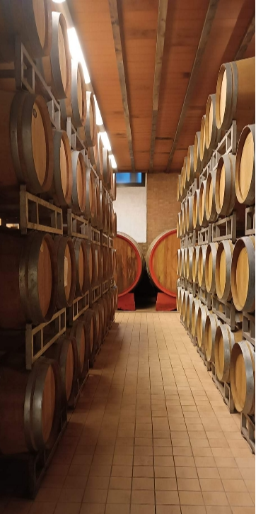 Barolo cascina boschetti