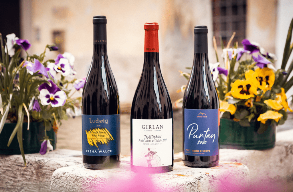 Concorso Pinot Nero 2020