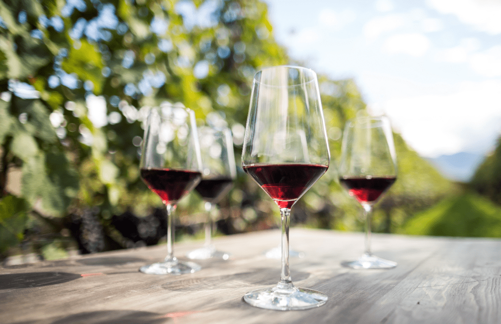 Concorso Pinot Nero 2020
