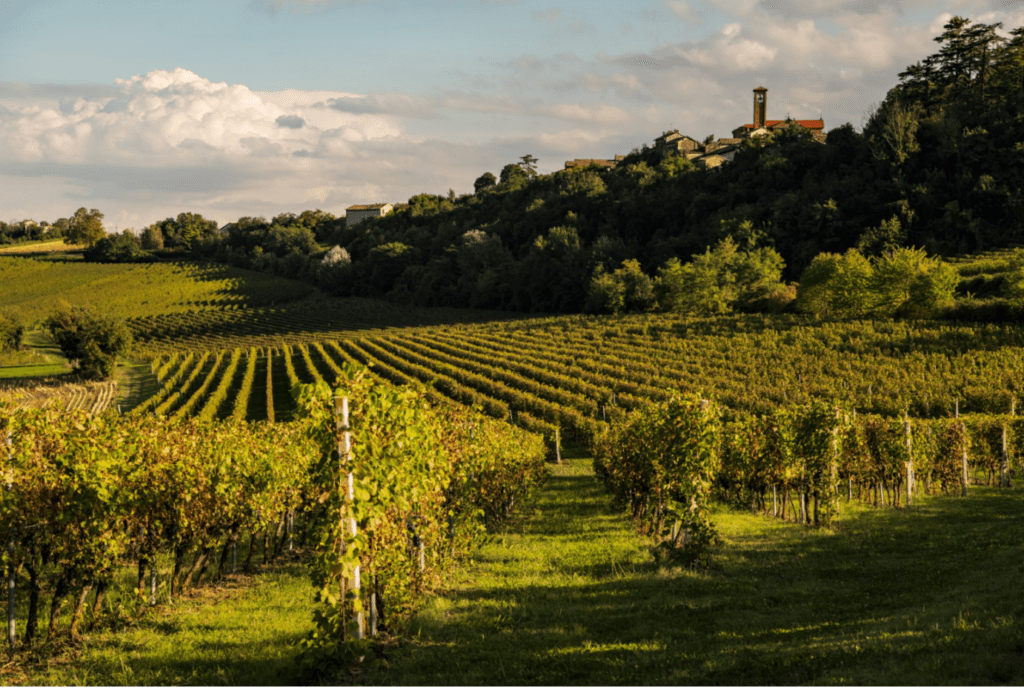 Monferrato Chiaretto Funtanin