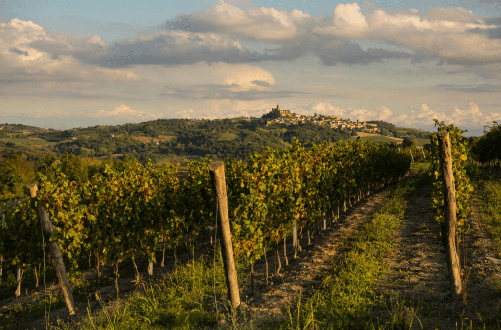 Monferrato Chiaretto Funtanin