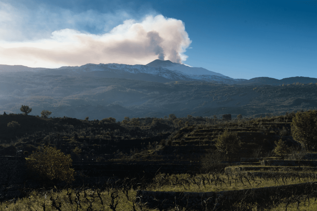 Duca di Salaparuta Lavico Etna Bianco