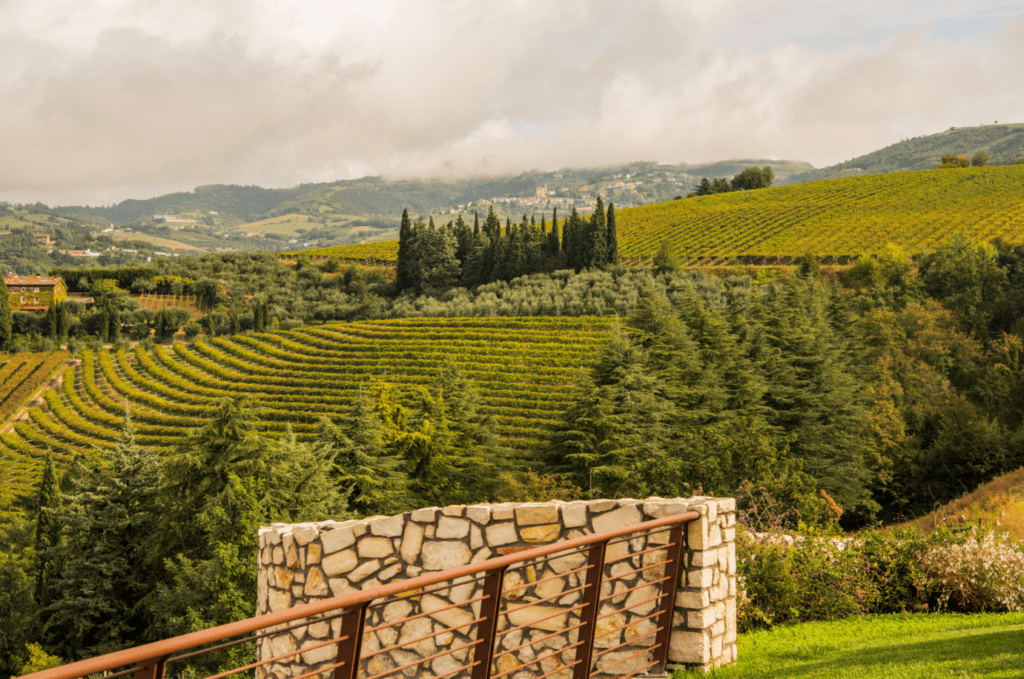 Costa Arènte Amarone Valpantena 