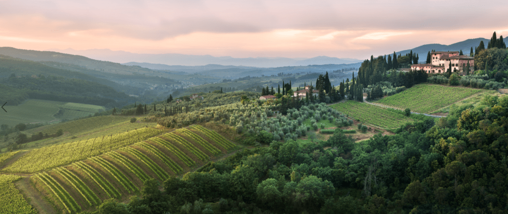 Vignamaggio Chianti Classico