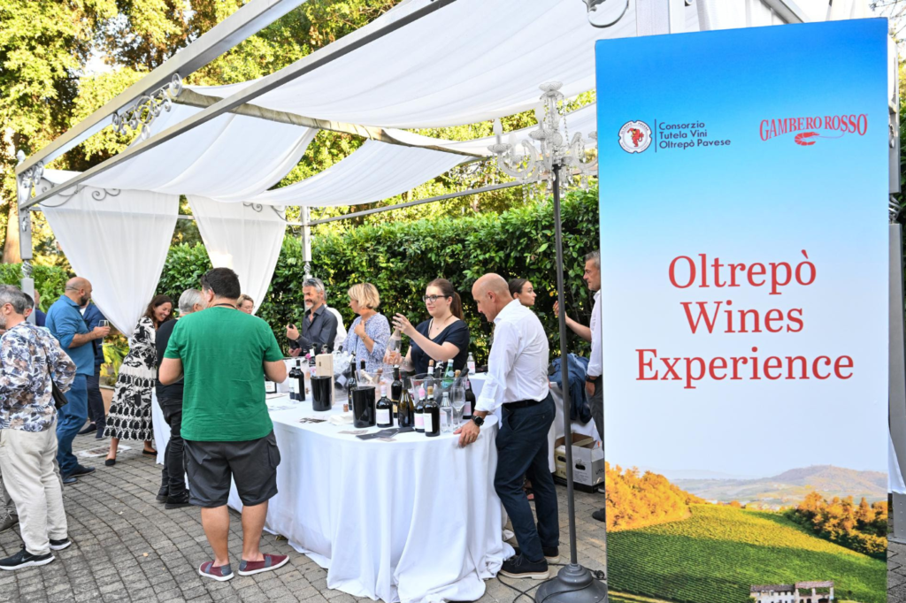 Oltrepò Wines Experience