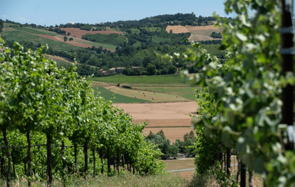 Pra di Bosso Casali Viticultori