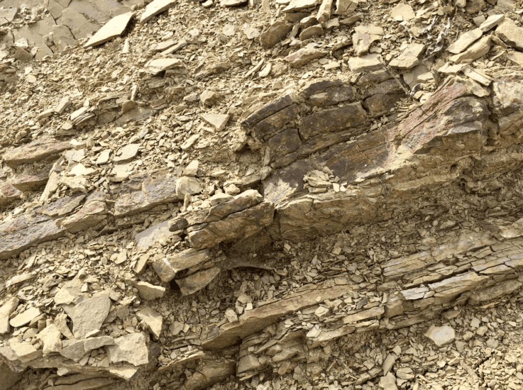 torre rosazza friuli