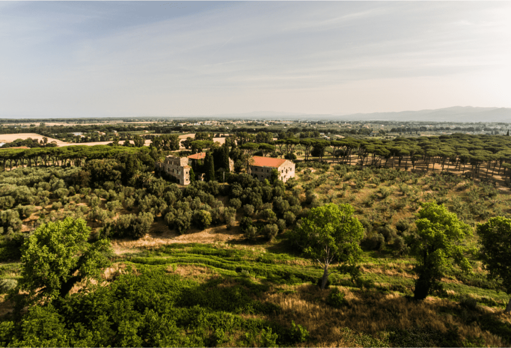 Villa Donoratico Bolgheri