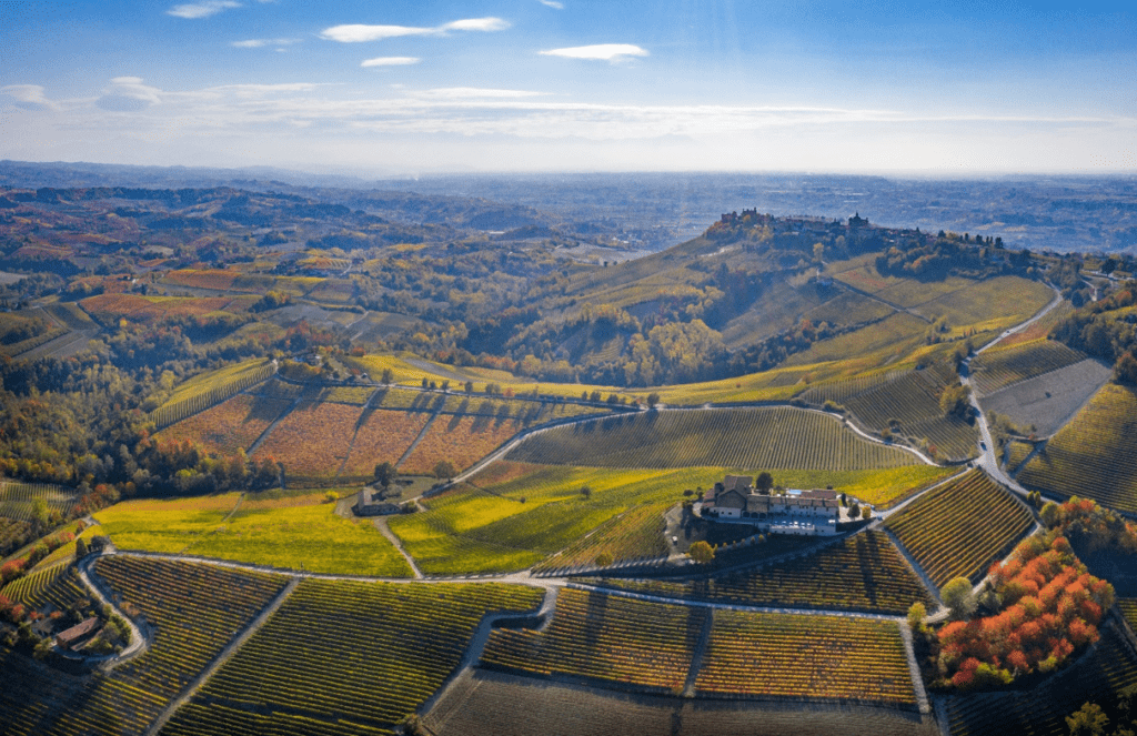 elvio cogno Nas Cëtta nebbiolo