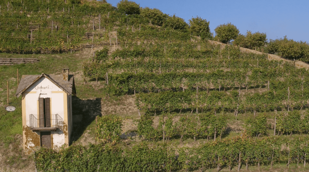 Barolo Cannubi Riserva 2016