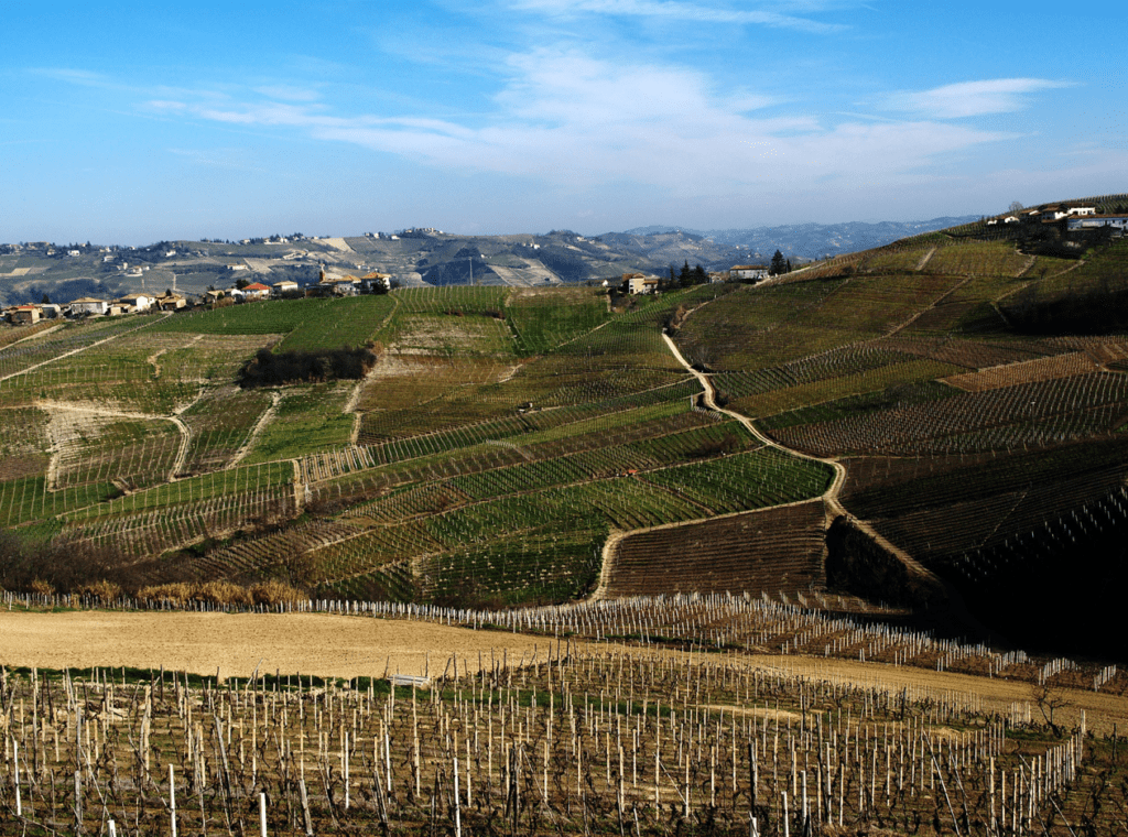 Barbera d'asti e monferrato ageba