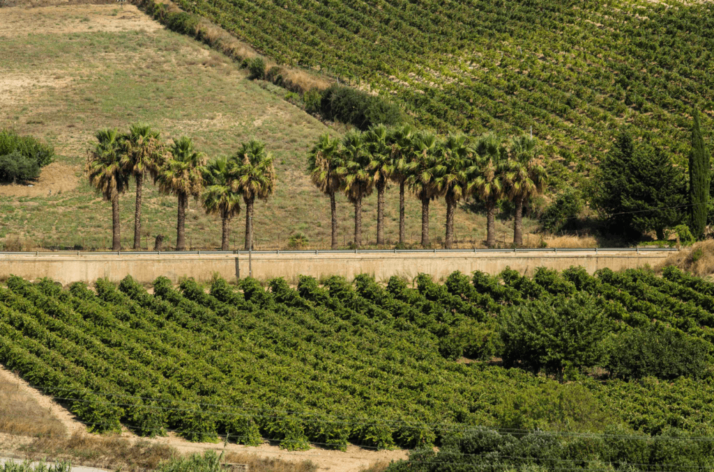 Fondazione SOStain Sicilia