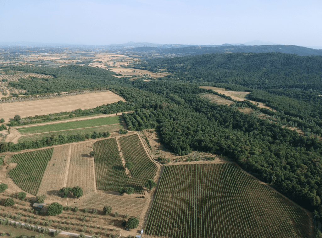 Tenuta Licinia Montalceto Sangiovese