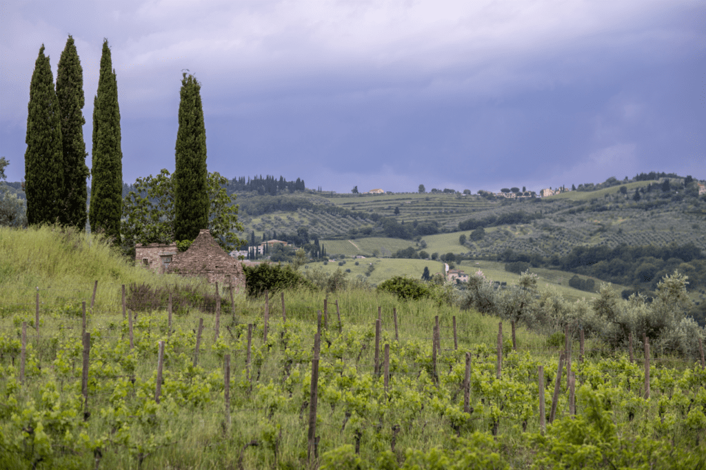 Vignamaggio Chianti Classico Gherardino