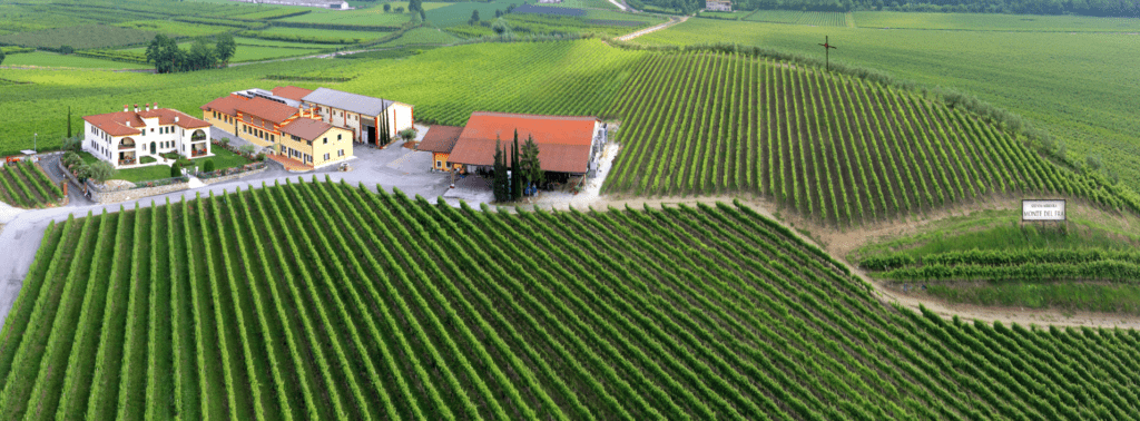 Monte del Frà Amarone