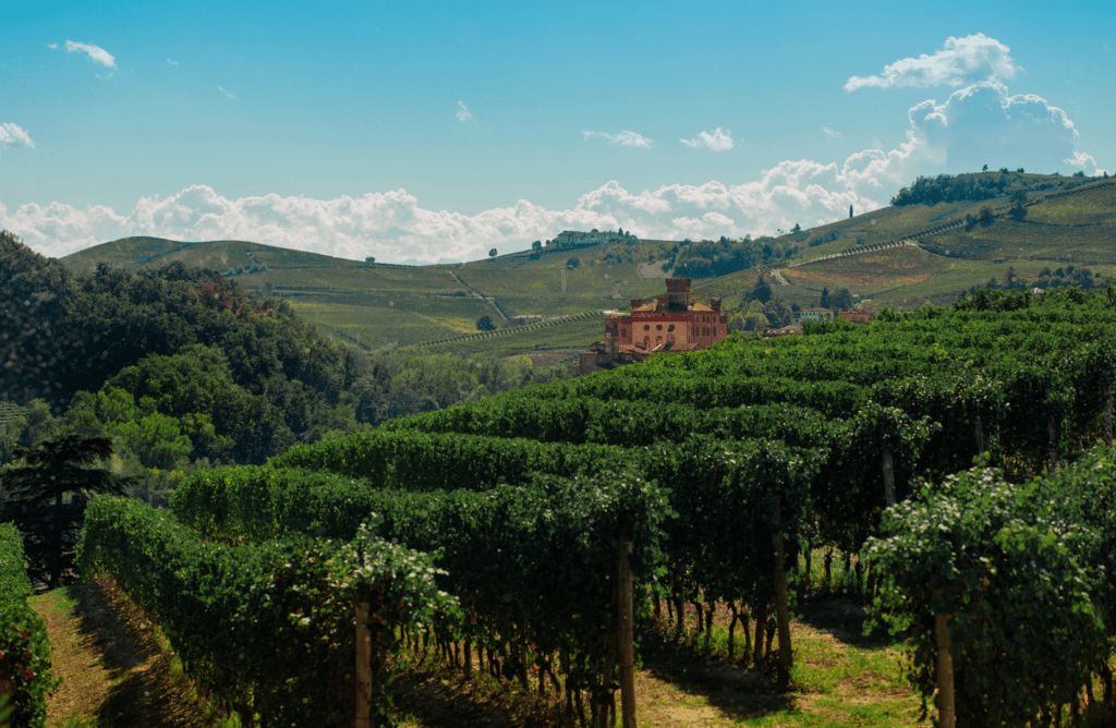 Barolo Cannubi Tenuta Carretta