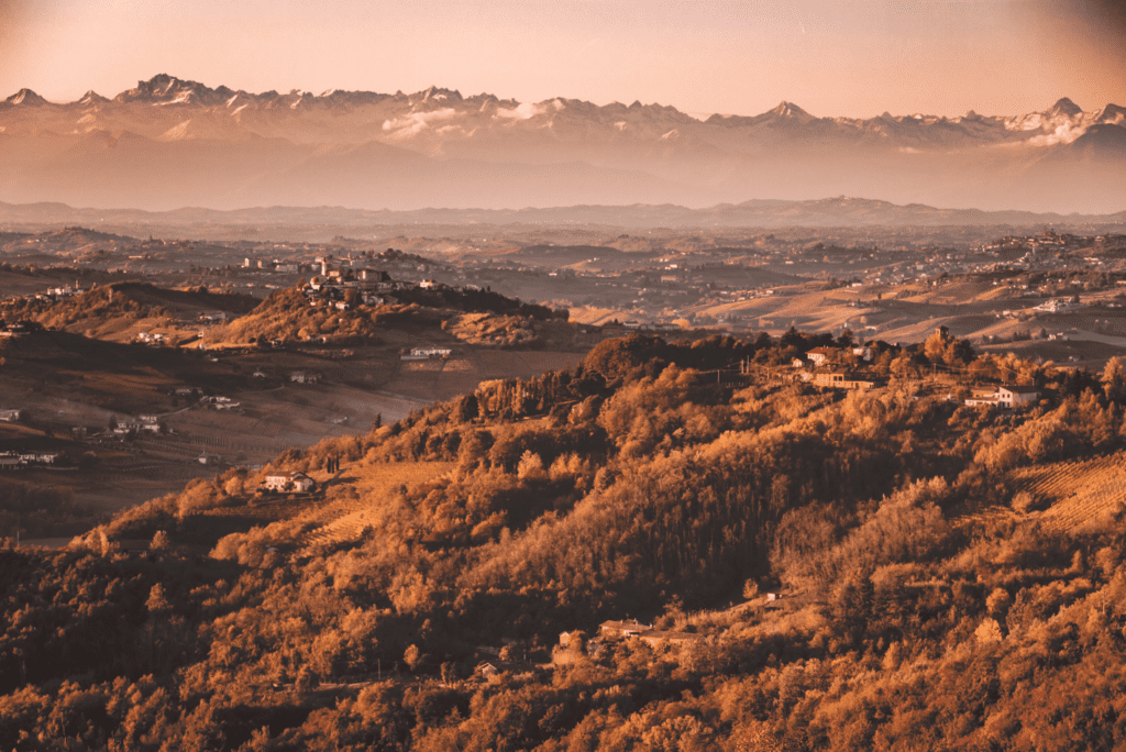 vendemmia nizza