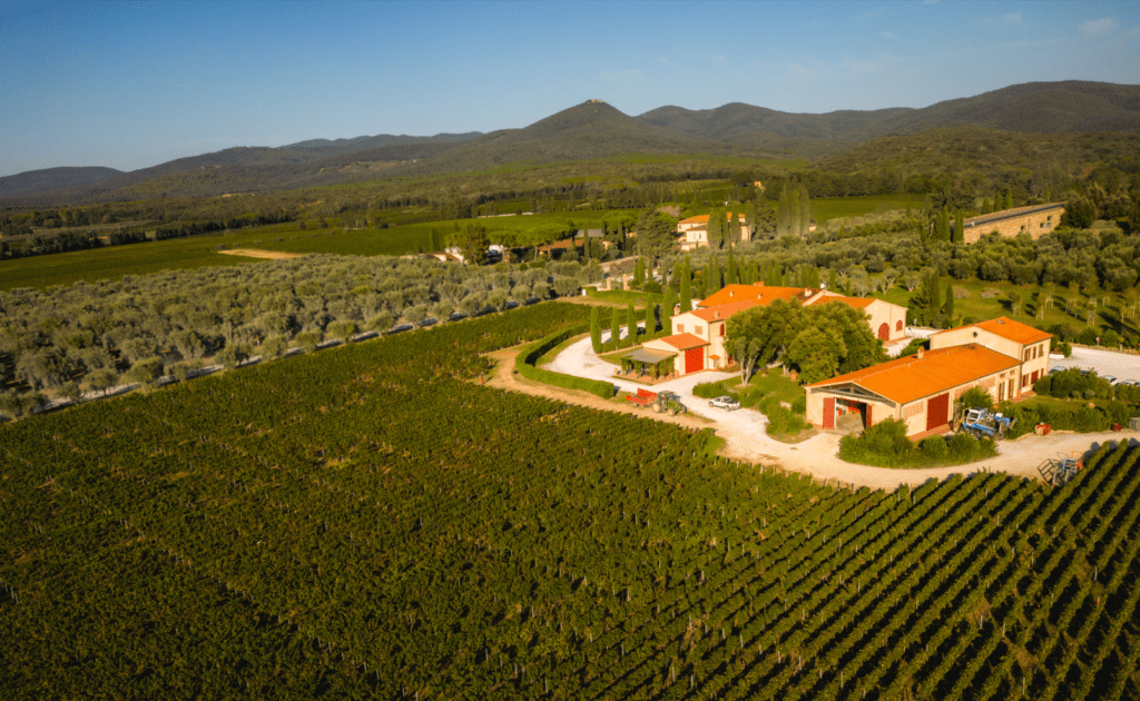 Campo alla Sughera bolgheri vini