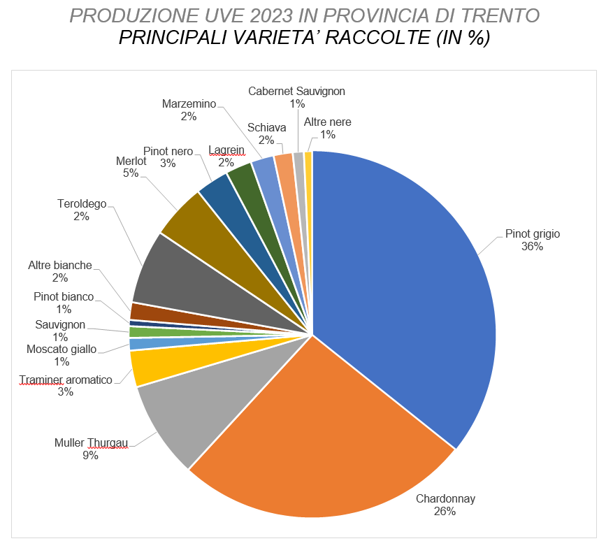 vendemmia 2023 in Trentino