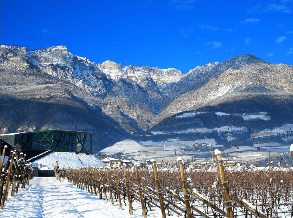 Natale dei cinque sensi