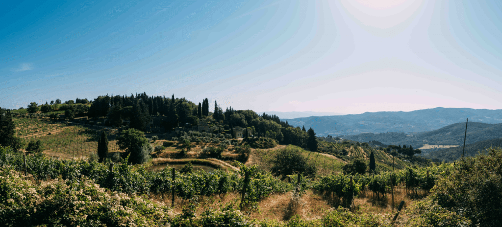 Vecchie Terre di Montefili