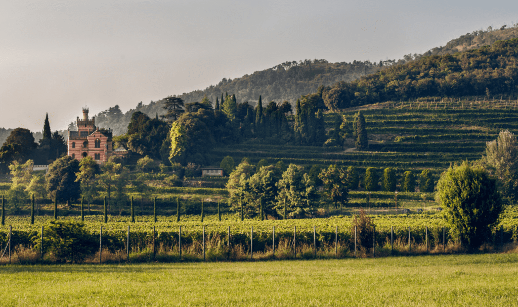 Castello Bonomi Franciacorta CruPerdu Millesimato 2016