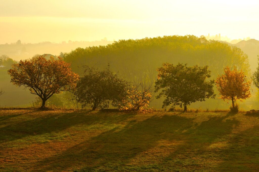 il “tour” promozionale del Consorzio Barbera d’Asti e Vini del Monferrato