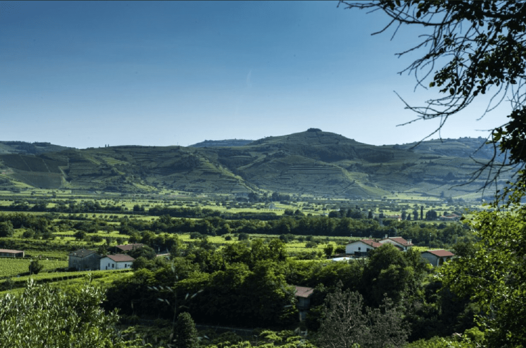 Soave e Lessini Durello