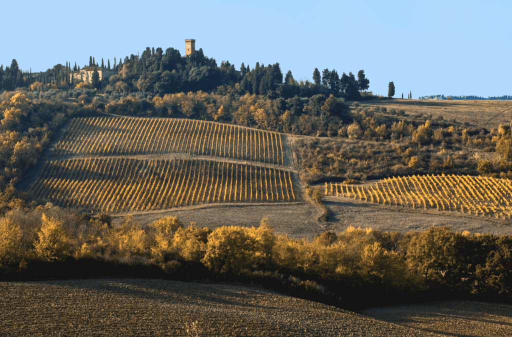 Castello Sonnino SanLeone e Cantinino 2019