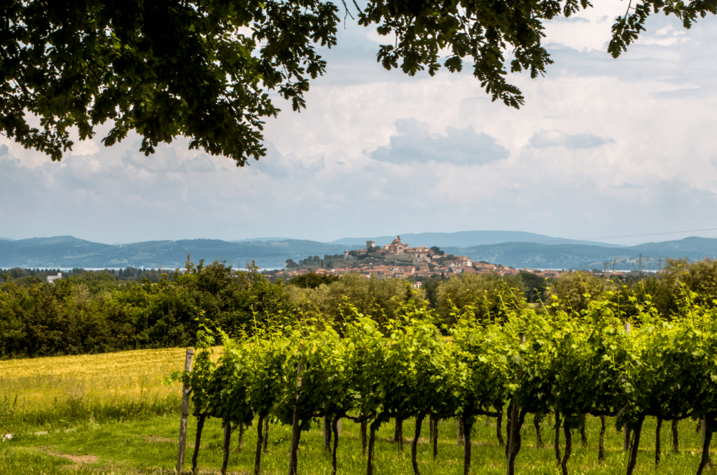 Umbria Top Wines a Slow Wine Fair 2024