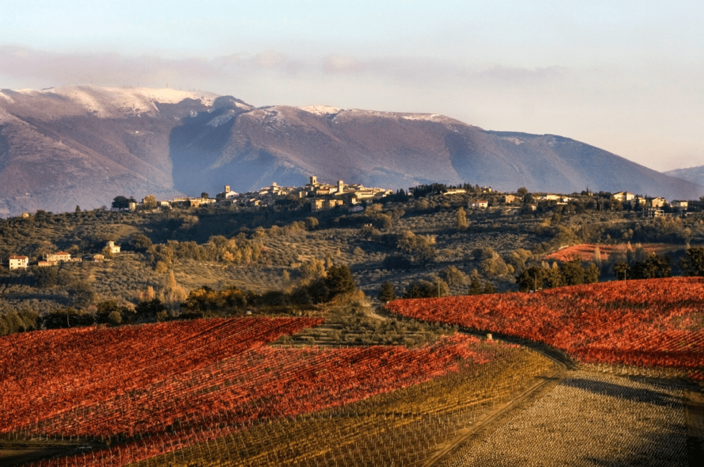 Umbria Top Wines a Slow Wine Fair 2024