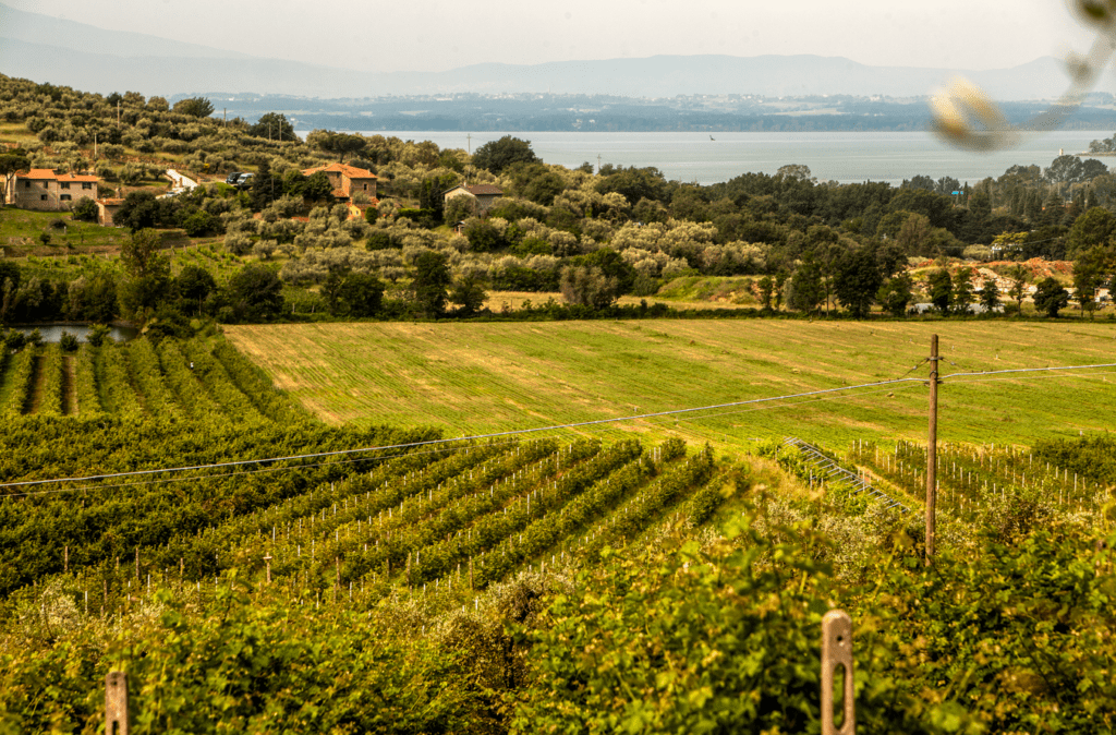 Umbria Top Wines a Slow Wine Fair 2024