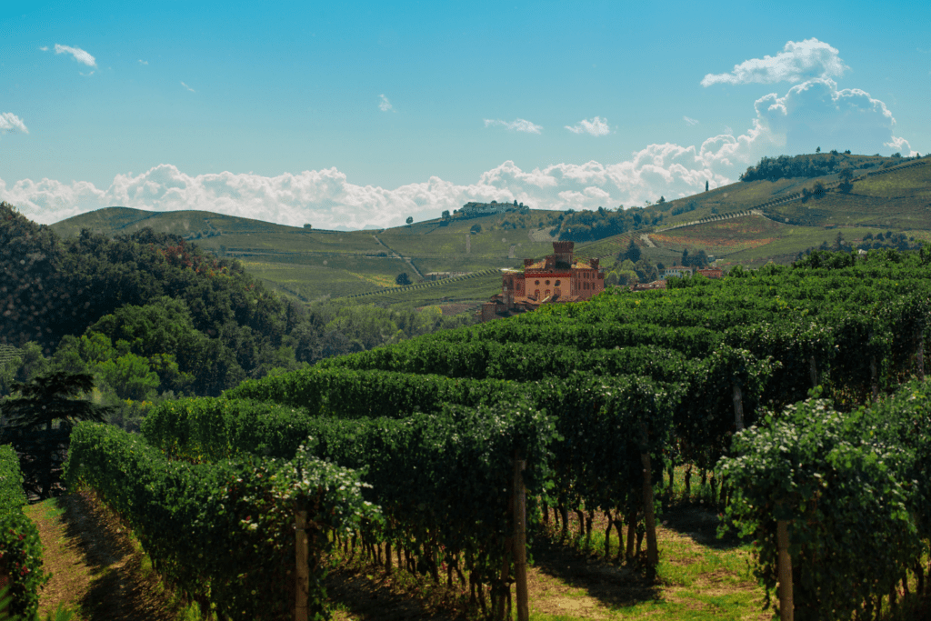 Barolo Riserva Cannubi 2018 Collezione Franco Miroglio