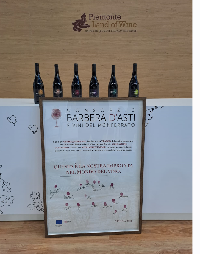 restyling Consorzio del Barbera