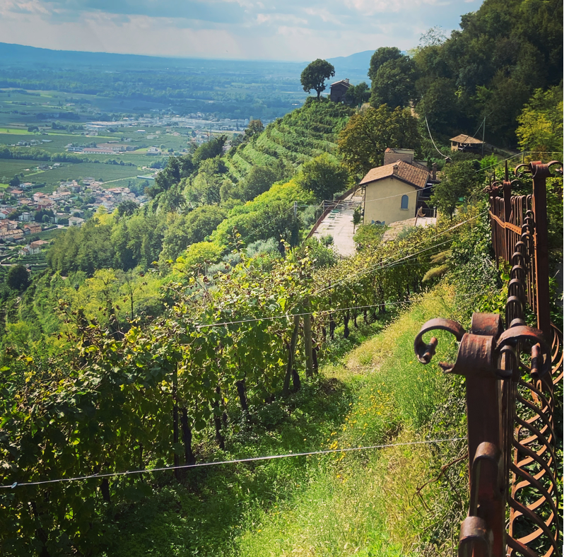 andreola vinitaly