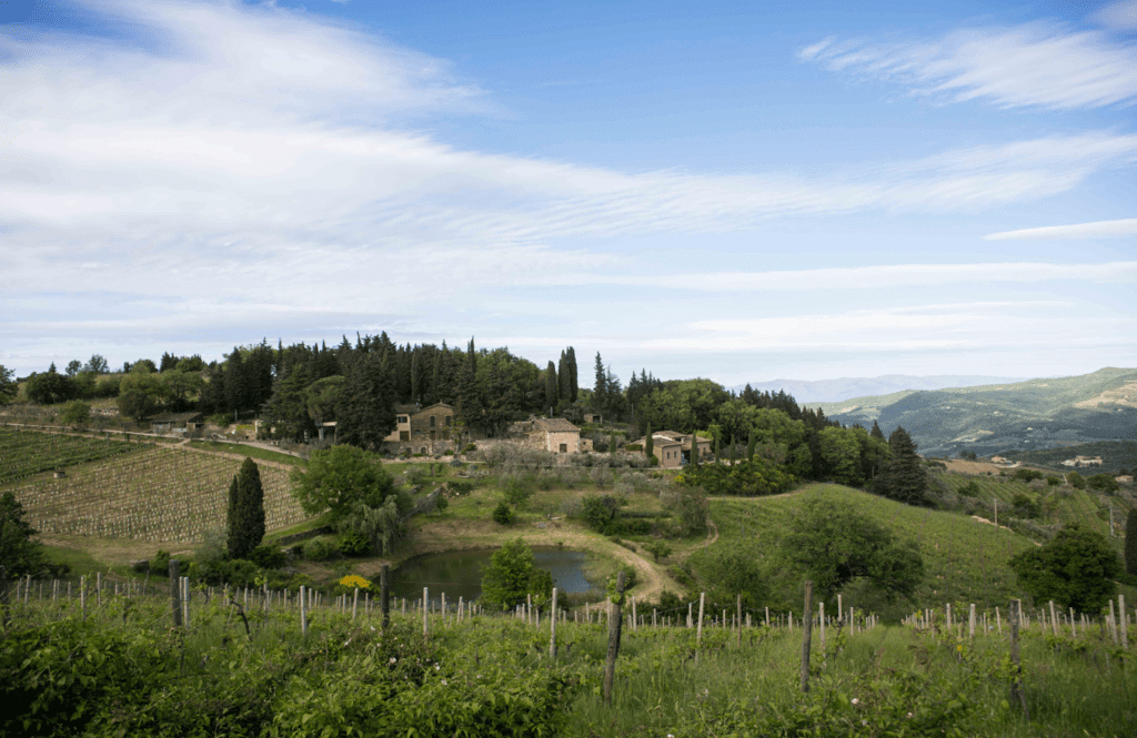 Vecchie Terre di Montefili