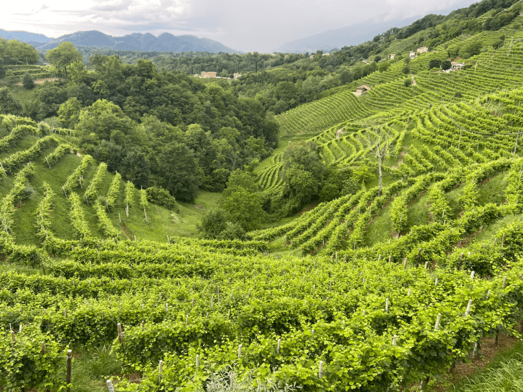 andreola enoturismo valdobbiadene