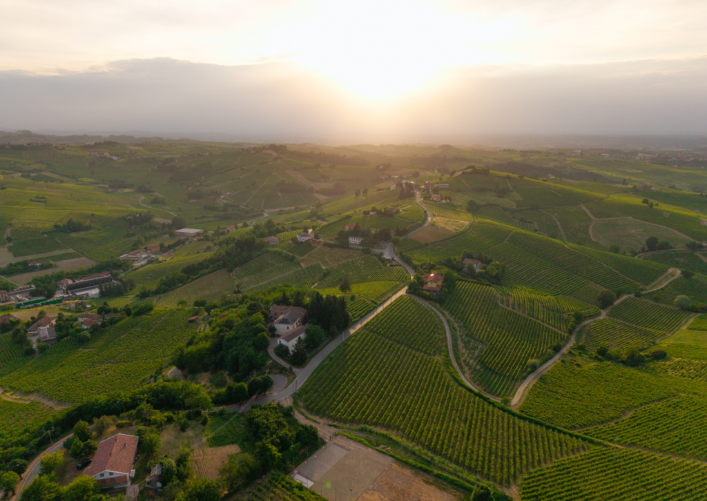 vendemmia 2026 del Consorzio Tutela Vini d’Acqui