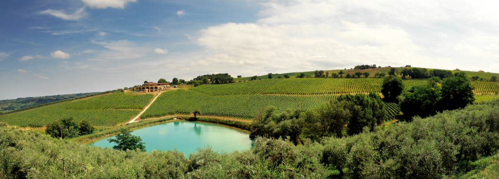 Montepulciano d’Abruzzo Di Sipio