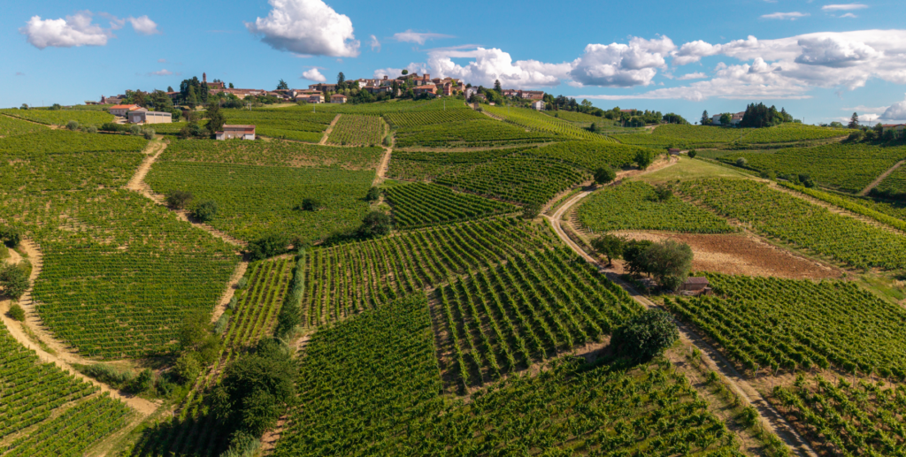Brachetto d’Acqui