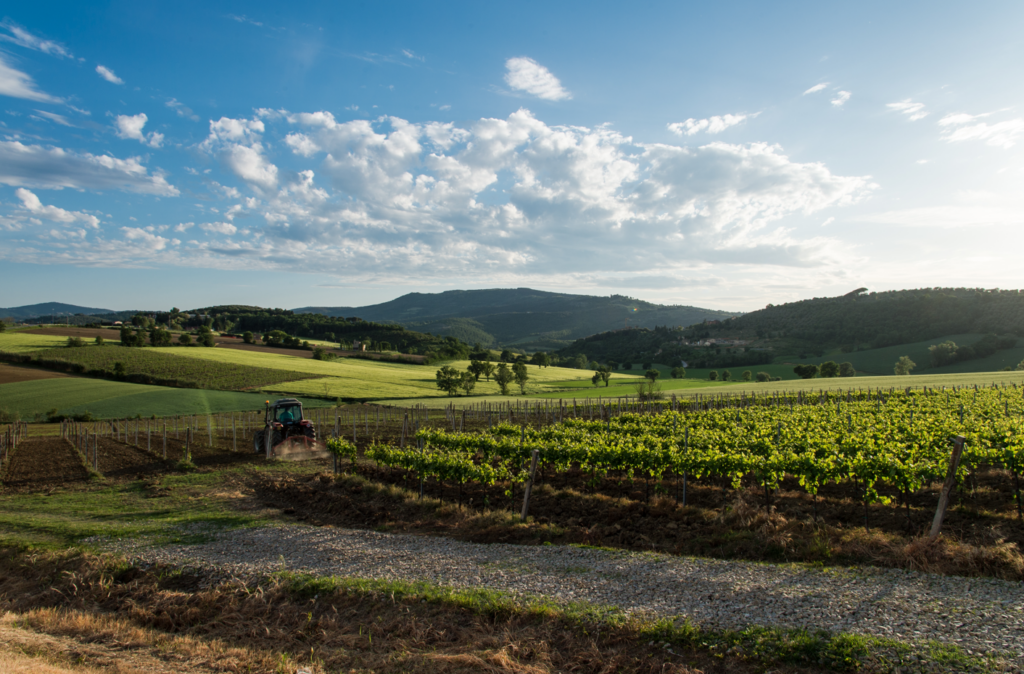 vini umbria gambero rosso